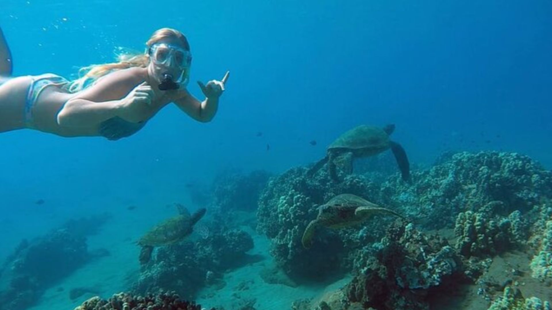 Explore San Juan’s Underwater World: Guided Snorkel Tours With Coral Reefs And Marine Life