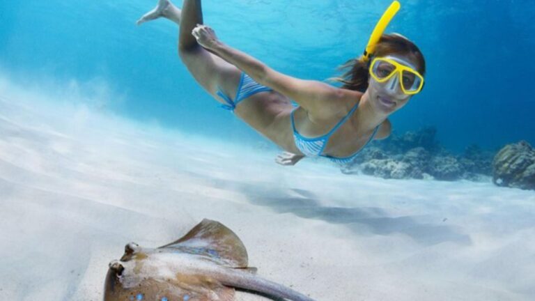 st thomas stingray snorkel