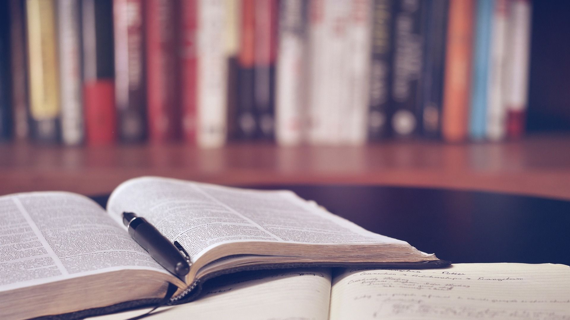 Discover Cruise Ship Libraries — Reading, Relaxation, and Ocean Views